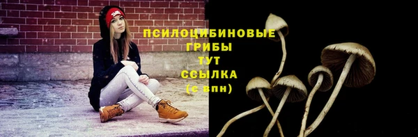 спайс Чекалин