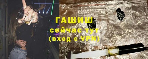 гидра Чердынь