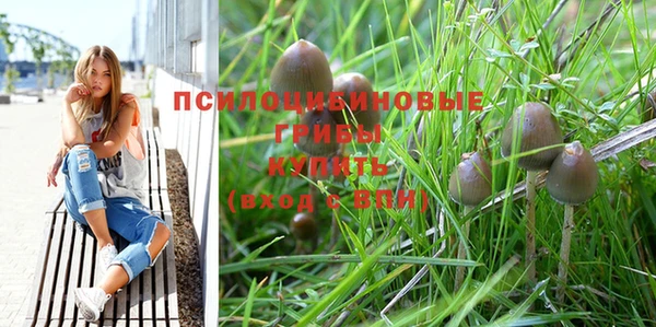 PSILOCYBIN Баксан