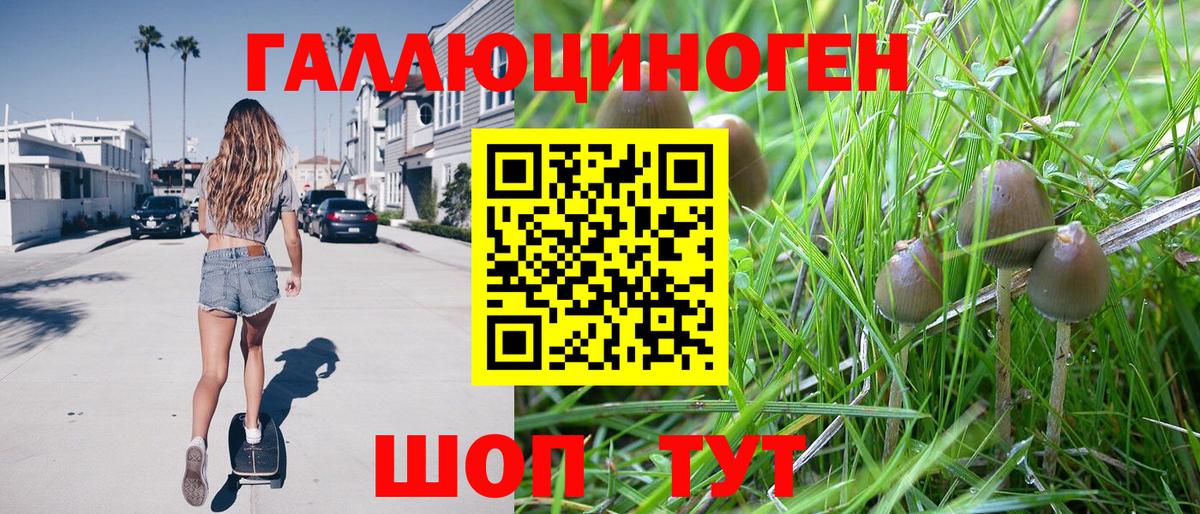 Псилоцибиновые грибы MAGIC MUSHROOMS Анапа