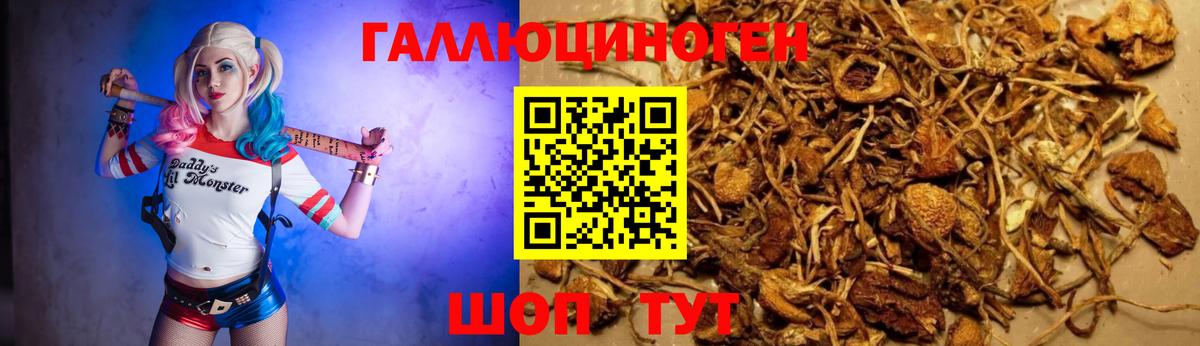 Галлюциногенные грибы Magic Shrooms Анапа