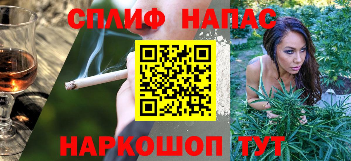 Марихуана планчик  Анапа  Конопля гибрид 